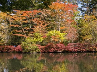 秋の軽井沢へ