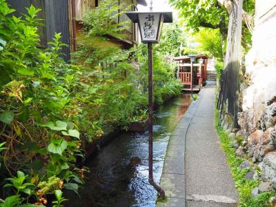 車中泊でいく岐阜の旅〈２〉岐阜戸隠神社と郡上八幡散策♪サンプル工房が楽しすぎました(・∀・)