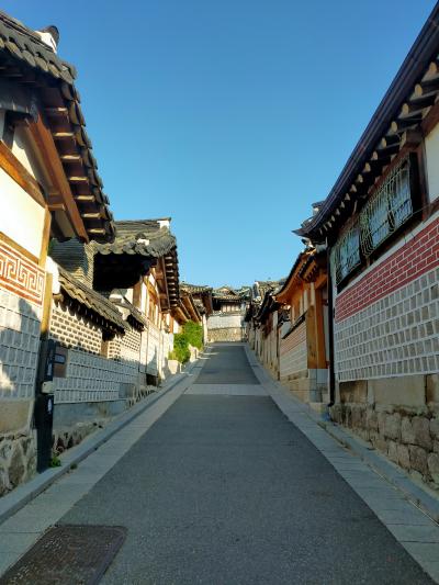 コロナ明けスタートは韓国から　②　安国