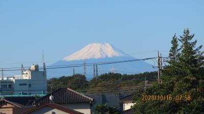 積雪した美しい富士山が見られました