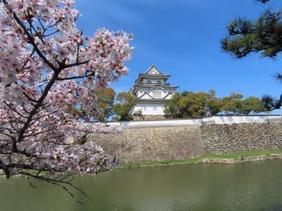 大阪 岸和田城 天守(Catel Tower,Kishiwada Castel,Kishiwada,Osaka,Japan)