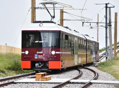 "モンブラン山群、氷河見れず"『中間駅で降ろされた　"何で？"　目的の終着駅まで行けず　残念!』【ベルビュー編】NO4