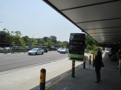 シニアのアジア片道クルーズ　全行程１６日間　シンガポールで市バスに何回乗ったかな？