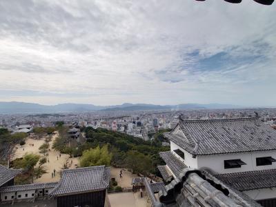 うさぎとお城と温泉と　10月の愛媛・広島2泊4日旅行（1.2日目前半:松山編）