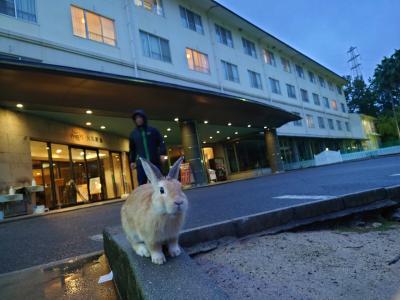 うさぎとお城と温泉と　10月の愛媛・広島2泊4日旅行（4日目:大久野島・福山編）