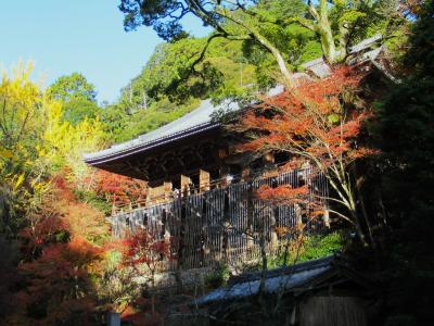 姫路城からちょっと足を伸ばして “西の比叡山” &#127809;の「書寫山圓教寺」に詣でる　2022/11/27