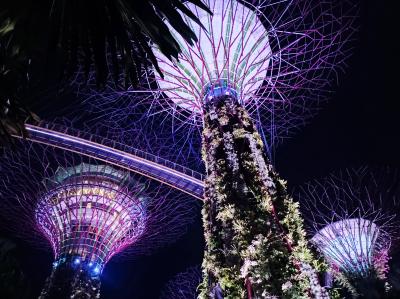 【シンガポール・ジョホールバルの旅】② 1日目 観光編