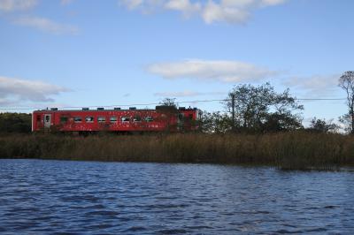 オバちゃま女子旅2023 釧路でカヌー&タンチョウに出会えた!