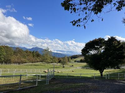 秋の子連れ八ヶ岳