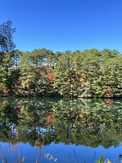 月岡温泉摩周　裏磐梯レイクリゾート猫魔離宮　御もてなしの宿悠ゆ亭！