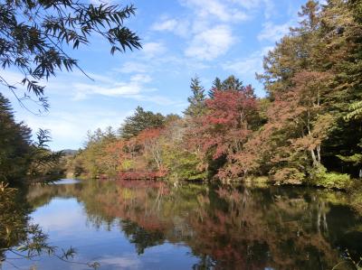 色々悩んで母と家内と旧軽井沢へ。その２紅葉が始まった雲場池～軽井沢銀座をプラプラ～ディナーはゆったり。ハーヴェストのスタッフの対応に感謝！！