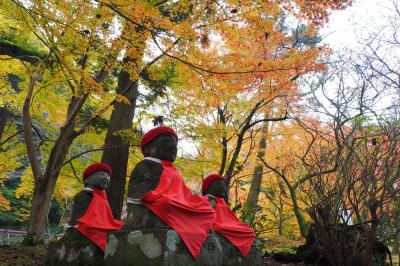 晩秋の山口ドライブ旅行　（３）紅葉・ブルーの湧き水・すすきの大地　カラフルな絶景巡り