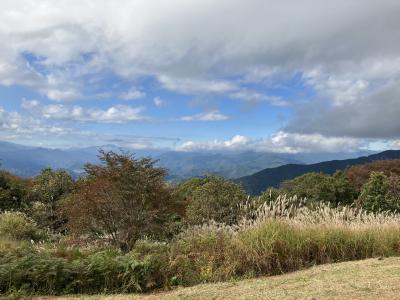 陣馬山から高尾山へハイキング