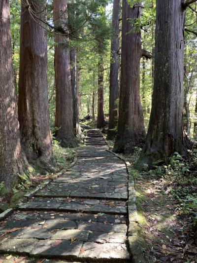 山形　鶴岡　羽黒山・・・登りました