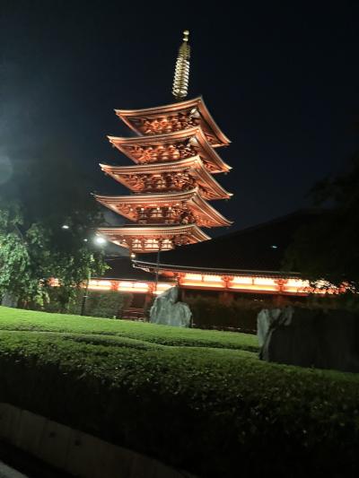 真夏の浅草食べ歩きと、夜の花やしき