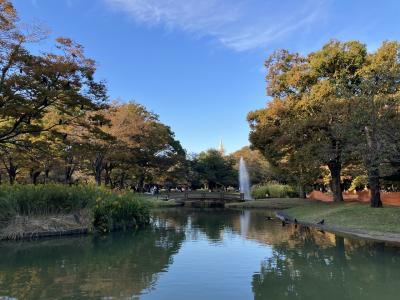 秋の代々木公園さんぽ～参宮橋から代々木公園を通って渋谷へ