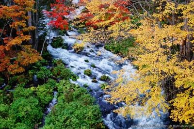 北海道　１泊２日　超弾丸で紅葉の阿寒摩周国立公園と帯広を楽しむ旅