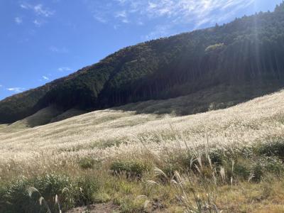 秋の神奈川旅！山から海から