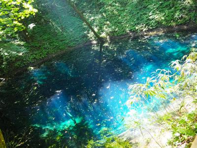 絶景露天風呂 夕日が美しい不老ふ死温泉と 念願の青池へ☆リゾートしらかみで青森・秋田の旅Vol.3