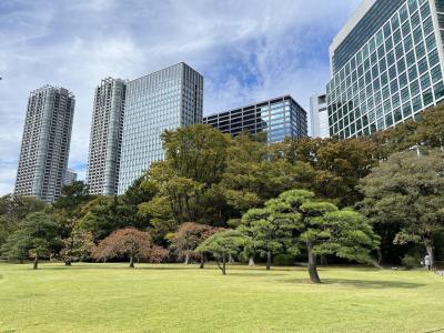 10か月ぶりの再会は日本で（東京・山梨・長野）　その1