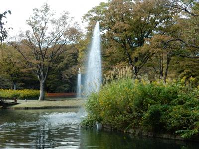 「　都立代々木公園　～　渋谷駅前　秋色さがし　さんぽ　」　2023