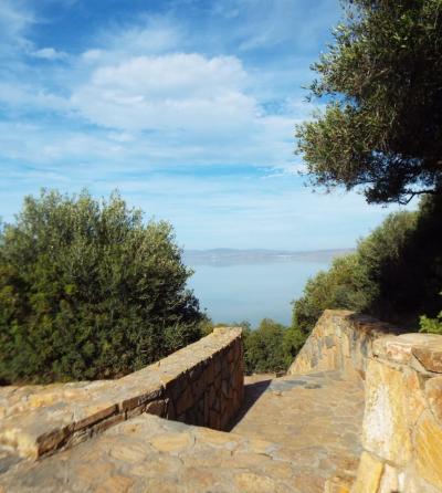 チュニジア大周遊10日目 11/25(金) チュニス滞在(イシュケル国立公園)