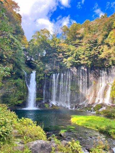 特急「ふじかわ」に乗って白糸ノ滝へ遊びに行こう！（・ω・）/♪