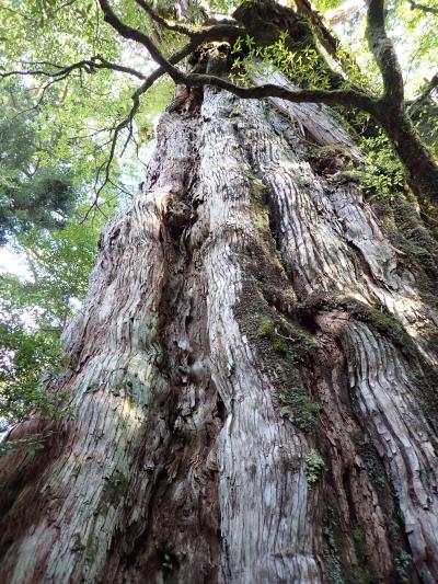 宜野湾～新西　ヨット廻航記　その２