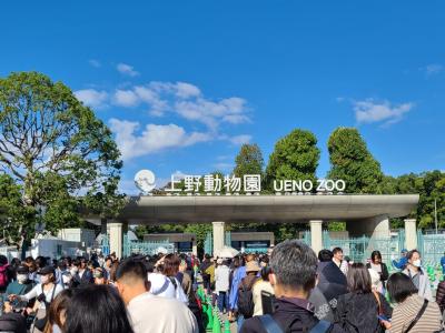 2023年10月 ほぼ3歳児と上野動物園に行ってきた