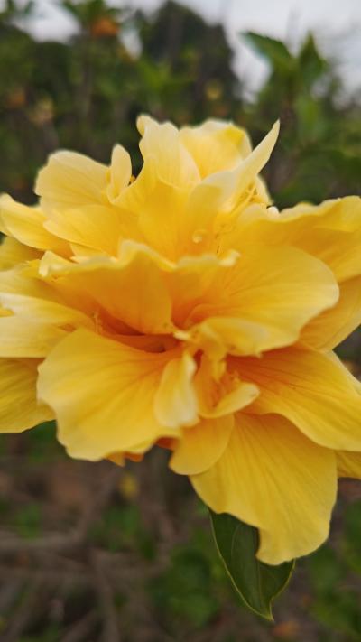 Lady travel ～inベトナム～2日目