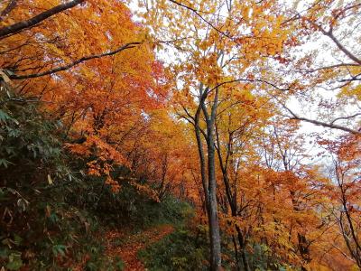 ’２３　長野・新潟温泉旅６　妙高山登山②（天狗堂から赤倉コースで下山）