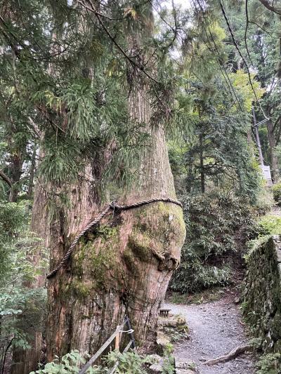 十津川村　玉置神社へ