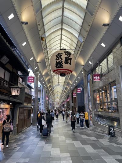 京都をレンタサイクルで周りました