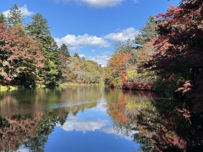 彩始まる軽井沢