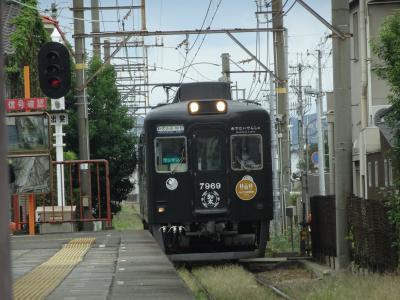 西日本ローカル線乗り鉄たび、その3（南海電鉄のローカル支線たち）