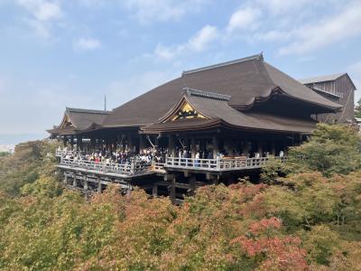 2023.10.27　金　洛東/　伏見稲荷　清水寺　祇園方面