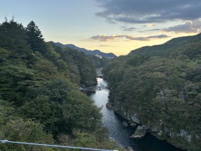 鬼怒川温泉からひたち海浜公園のコキアを見に