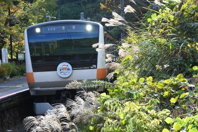 青梅線ほろよいフェ酒ティバルから奥多摩散策