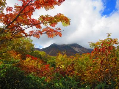 白山の紅葉（平瀬道）