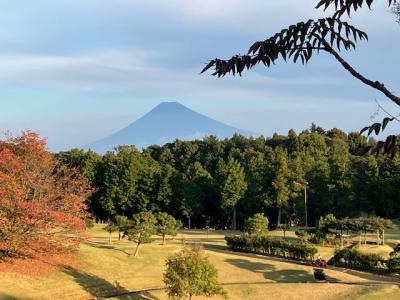 12oo年の歴史ある伊豆の小京都修善寺、天城山、浄蓮の滝、桂川の紅葉等、、宿泊は、ホテル　修善寺ラフォーレ　ー　２０２３，１０。