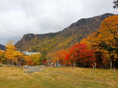 秋の北海道そして東京