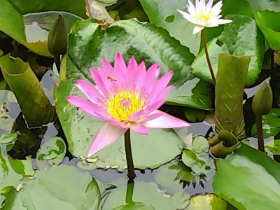 3年半ぶり!!初めてのPeachで弾丸台湾旅行③