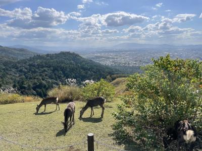 10年振りに秋の日本　関西・四国3週間の一時帰国　②奈良で三世代家族旅行