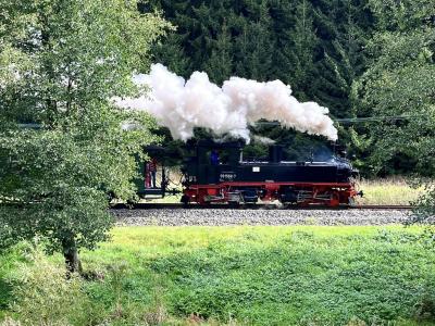 ドイツ東部保存鉄道を巡る・17日の旅　⑨