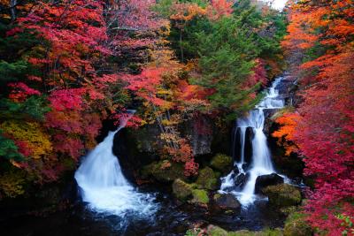 奥日光の紅葉