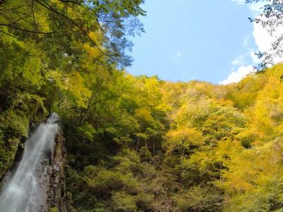 秋の初め、徒然に丹沢の滝