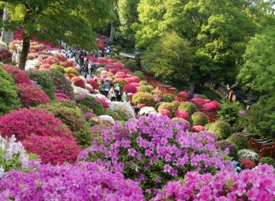 つつじ祭　２　湯島聖堂～根津神社