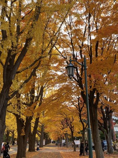 札幌日帰りミステリーツアー