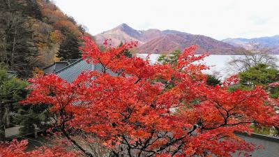 2023年10月28日～宇都宮の銀杏～日光立木観音、中禅寺湖、華厳の滝他、2泊3日紅葉狩りへ