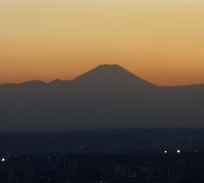 キャロットタワーから富士山のシルエットがよく見えました。